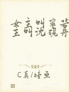 女主叫宁若曦男主叫沈砚舟的小说