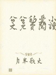 公公的爱小说全文免费阅读