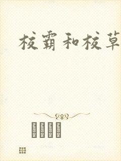 校霸和校草封面