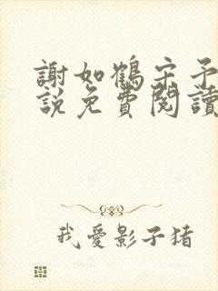 谢如鹤宋予朵小说免费阅读最新章节封面