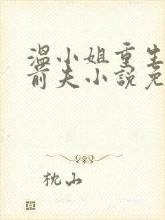 温小姐重生虐疯前夫小说免费阅读封面
