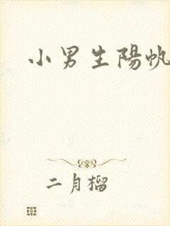 小男生阳帆封面