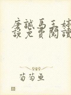 唐诚马玉婷 小说免费阅读