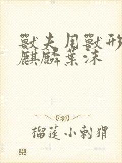 书籍封面