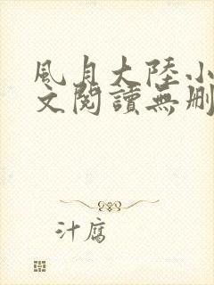风月大陆小说全文阅读无删减