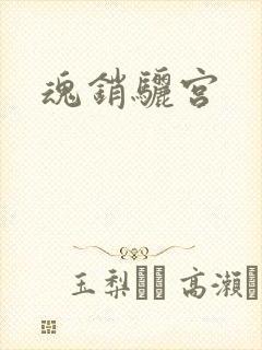 魂销骊宫