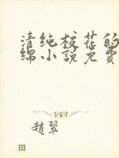 清纯校花的苏绵绵小说免费阅读
