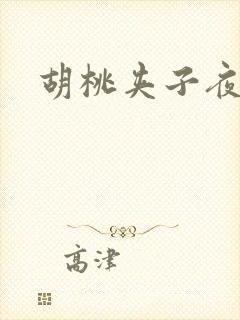 胡桃夹子夜未眠封面