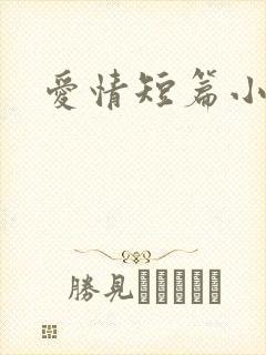 爱情短篇小说封面