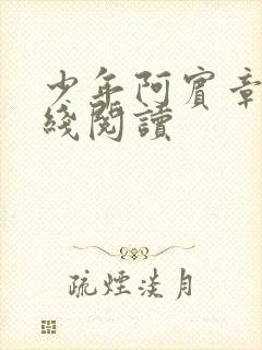 少年阿宾章节在线阅读