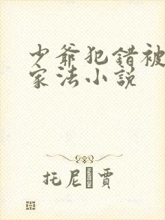 少爷犯错被执行家法小说