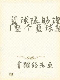 篮球队助理hv1整个篮球队