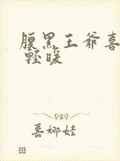 腹黑王爷喜当爹 轻暖