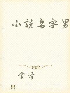 小说名字男生