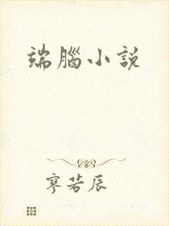 端脑小说封面
