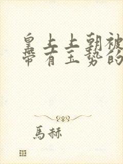 皇上上朝被迫坐带有玉势的龙椅