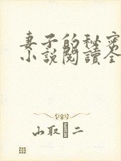 妻子的秘密吴双小说阅读全文