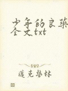 少年的良药小说全文txt