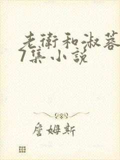 老卫和淑蓉1一7集小说