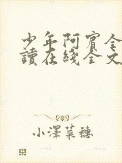 少年阿宾全文阅读在线全文阅读