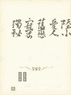 独宠旧爱陆少的秘密恋人小说