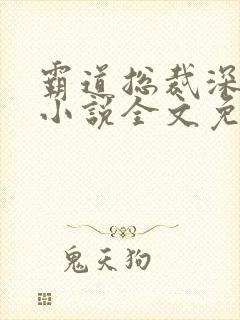 霸道总裁深深宠小说全文免费阅读