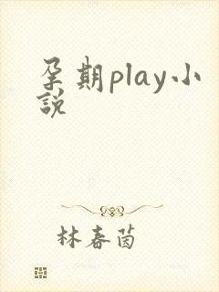 孕期play小说