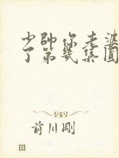 少帅你老婆又跑了第几集圆房