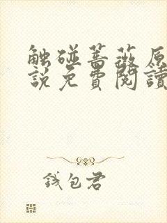 触碰蔷薇原著小说免费阅读