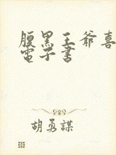 腹黑王爷喜当爹电子书封面