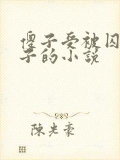 傻子受被囚禁生子的小说封面