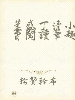 叶盛丁清小说免费阅读笔趣阁
