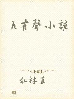 h有声小说