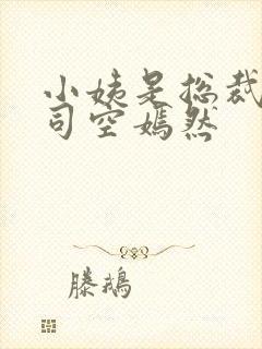 小姨是总裁叶凡司空嫣然