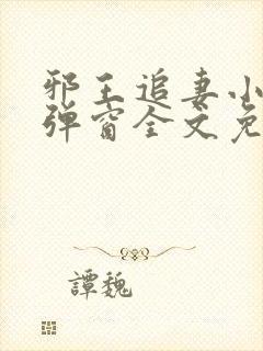 邪王追妻小说无弹窗全文免费阅读