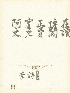 阿宾正传在线全文免费阅读无删减