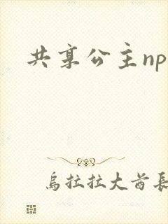 共享公主npc