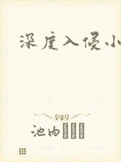 深度入侵小说