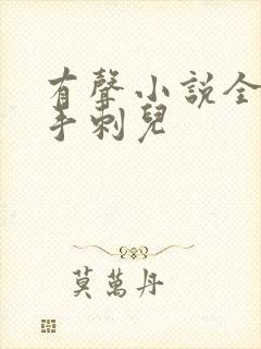 有声小说全职高手刺儿封面