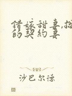 错嫁甜妻,总裁的契约妻