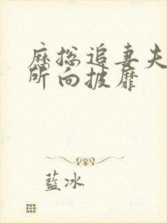 历总追妻夫人她所向披靡