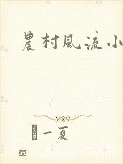 农村风流小说封面