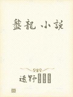 盘龙 小说封面