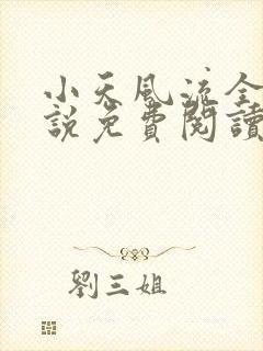 小天风流全集小说免费阅读