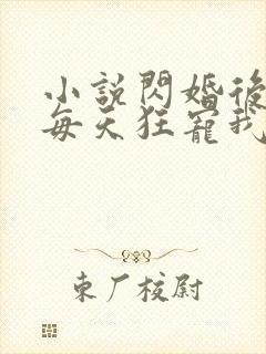 小说闪婚后大叔每天狂宠我免费阅读