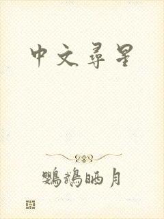 中文寻星