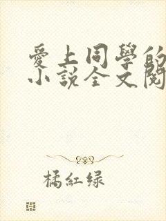 爱上同学的妈妈小说全文阅读