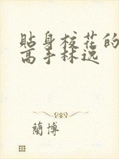 贴身校花的贴身高手林逸