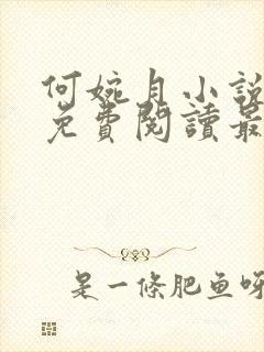 何婉月小说全文免费阅读最新章节