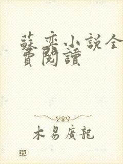 苏奕小说全文免费阅读